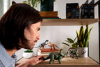 Coleccionista observando el Sinoceratops exhibido en una repisa con otros dinosaurios
