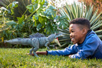 Niño jugando en el pasto con el Giganotosaurus Colossal Chomp