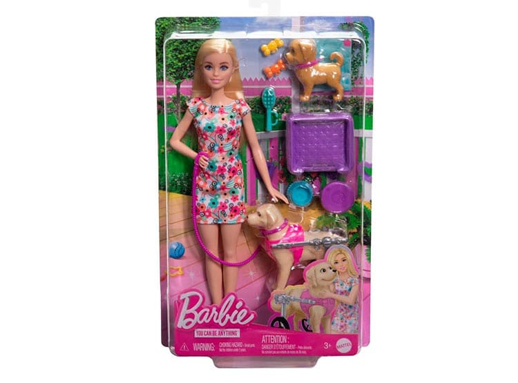 Barbie Set Paseo de Perrito con Silla de Ruedas y Accesorios – vista 1