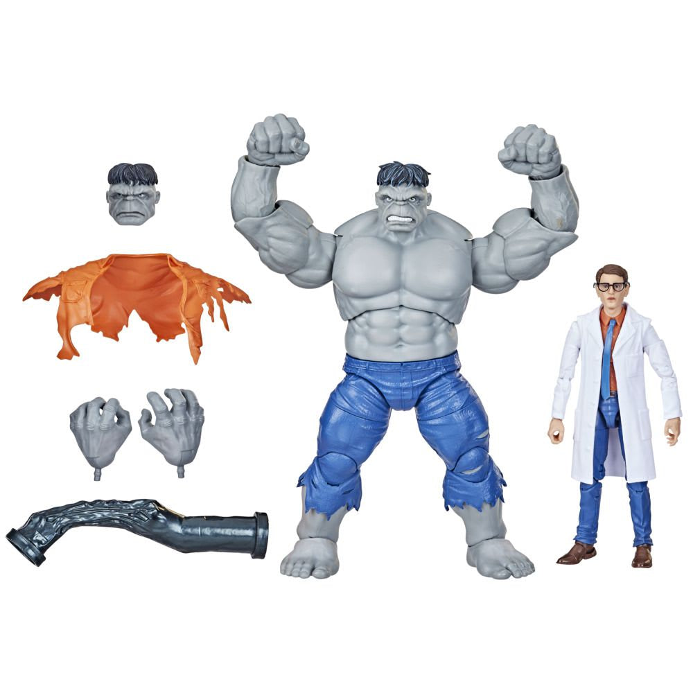 Marvel Legends Avengers Beyond Earth's Mightiest Hulk Gris y Dr. Bruce Banner – vista 1