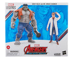 Marvel Legends Avengers Beyond Earth's Mightiest Hulk Gris y Dr. Bruce Banner – vista 2